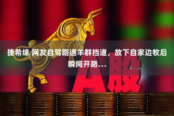 捷希缘 网友自驾路遇羊群挡道，放下自家边牧后瞬间开路…